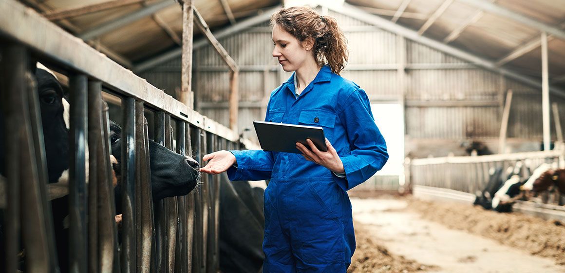 Mobilen som livline – en del av HMS-arbeidet