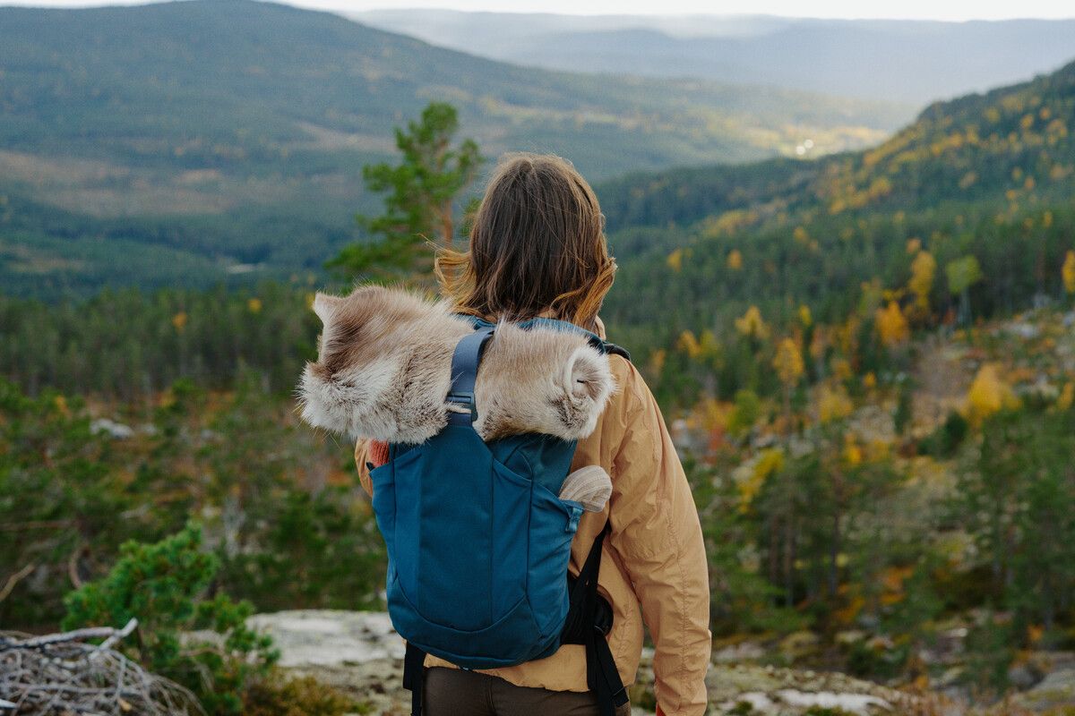 Telenor Bedrift - cybervettreglene