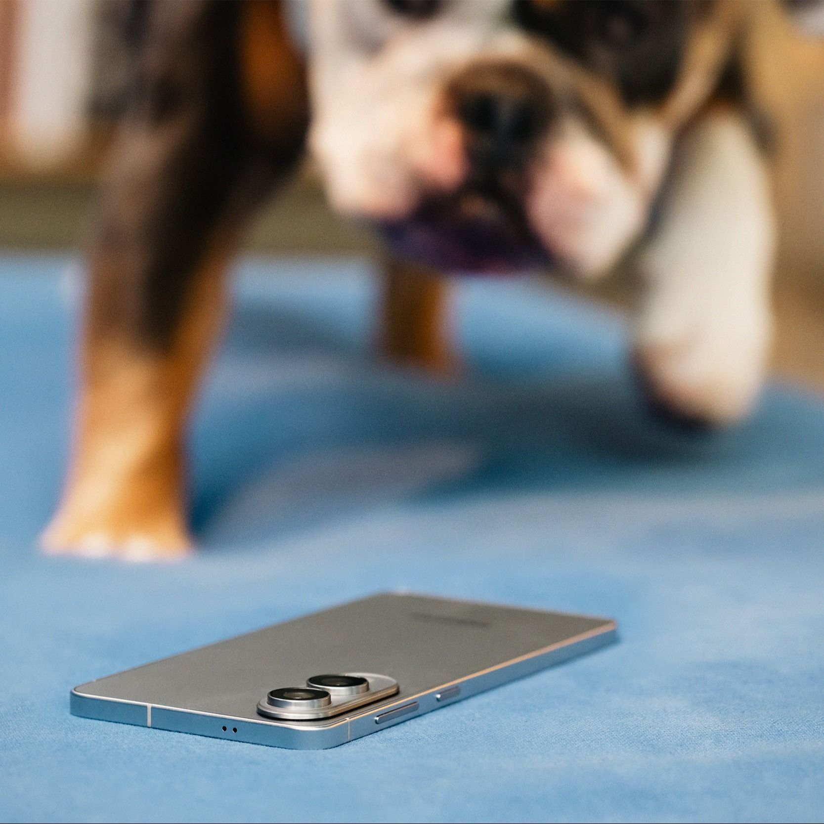 Meld skade ved tapt eller skadet mobil, nettbrett eller smartklokke