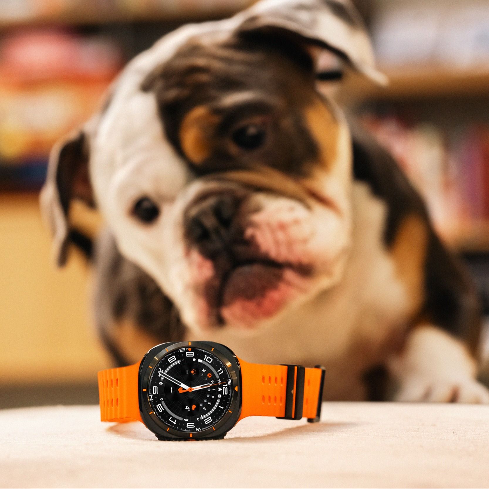 Med Plussforsikring får du hjelp om du mister, ødelegger eller får frastjålet smartklokken din