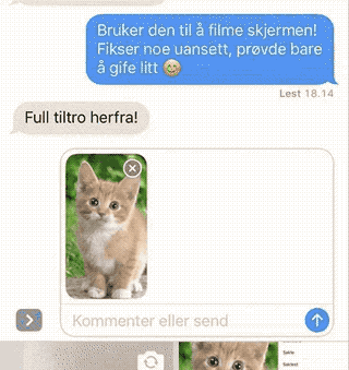 Skjermbilde av en tekstmelding med katt.