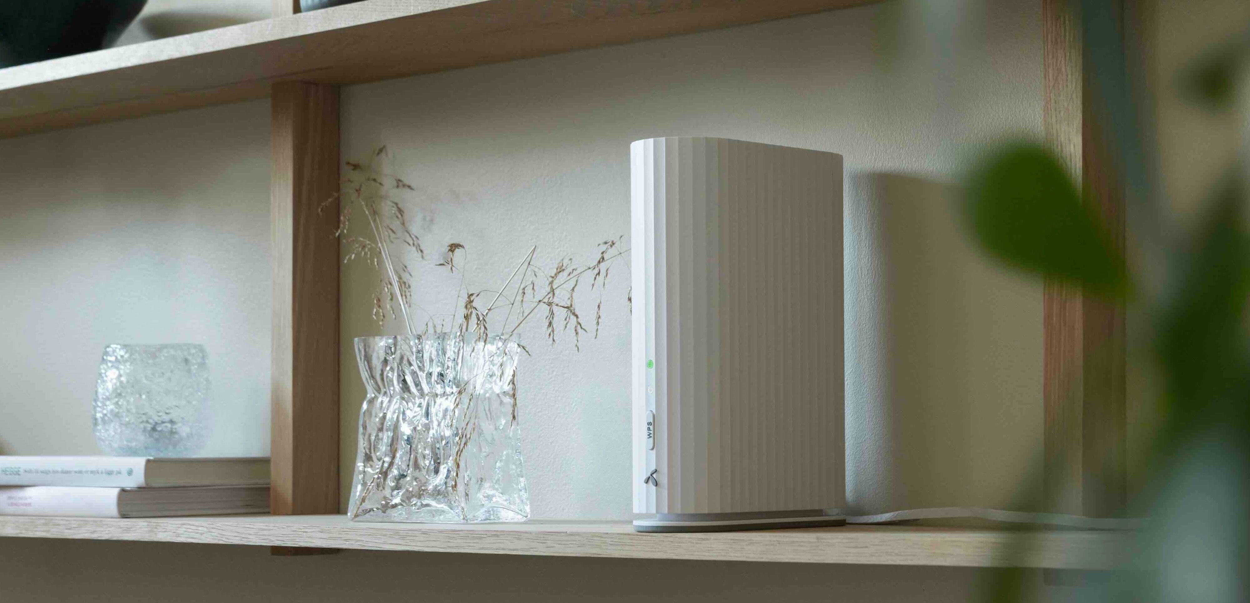 Trehylle med planter, kunst, bøker og en hvit trådløs router