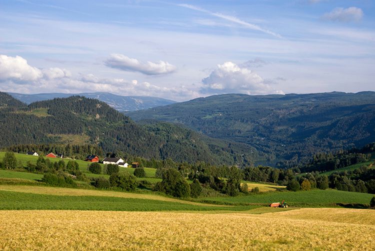 Gausdal