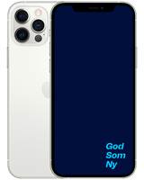 Apple iPhone 12 Pro