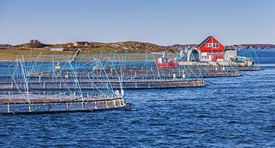 Utendørs mobildekning - MaaS