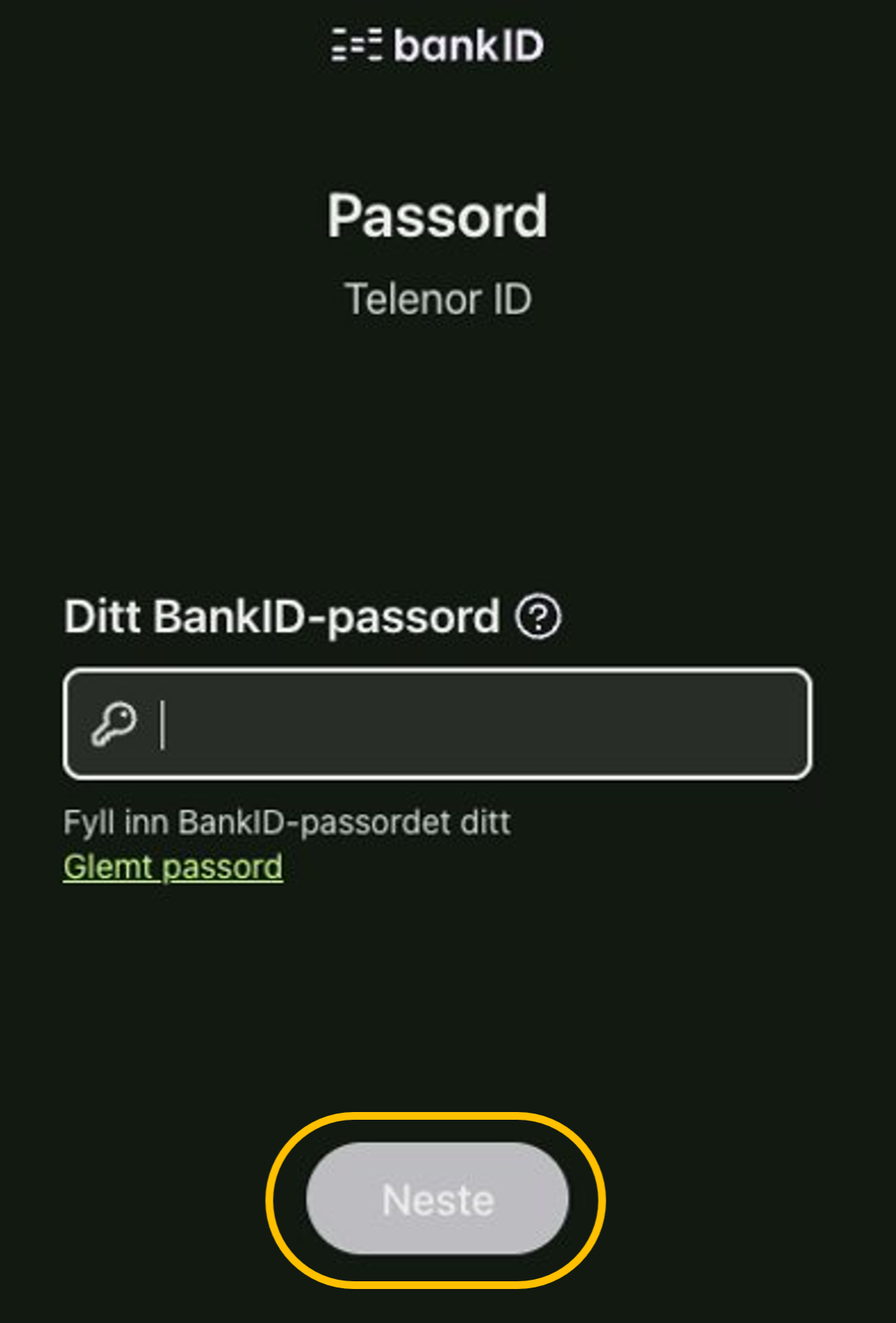 Skriv inn BankID passordet ditt