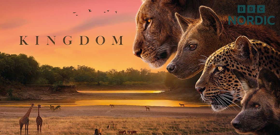 Bilde fra BBC Nordic-dokumentaren Kingdom.