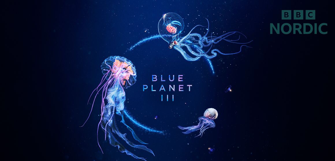 Bilde fra BBC Nordic-dokumentaren Blue Planet III.
