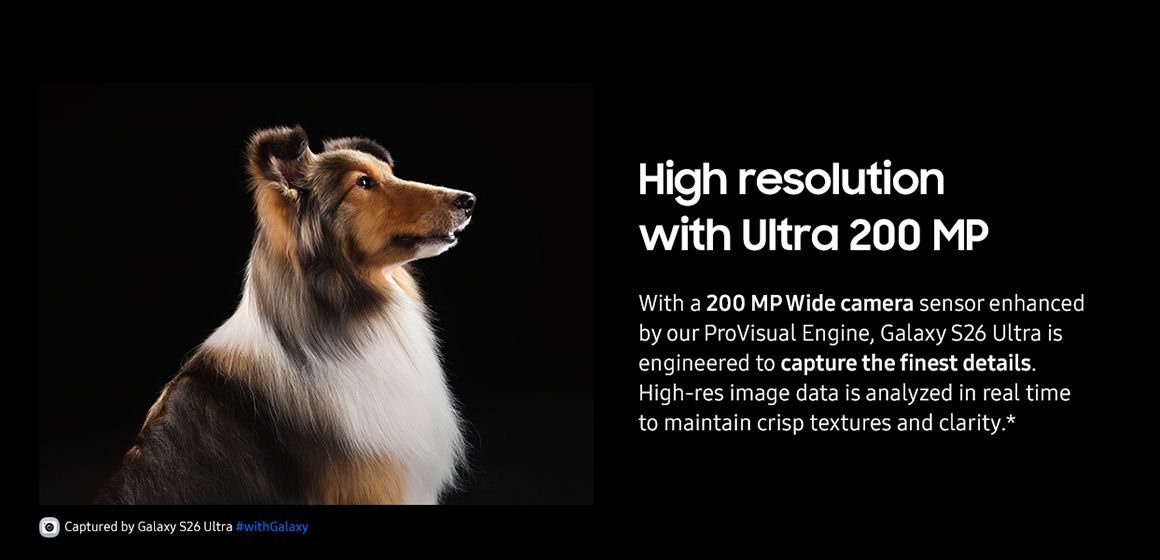 Høyoppløselig bilde av hund tatt med nyeste galaxy s26 ultra fra Samsung