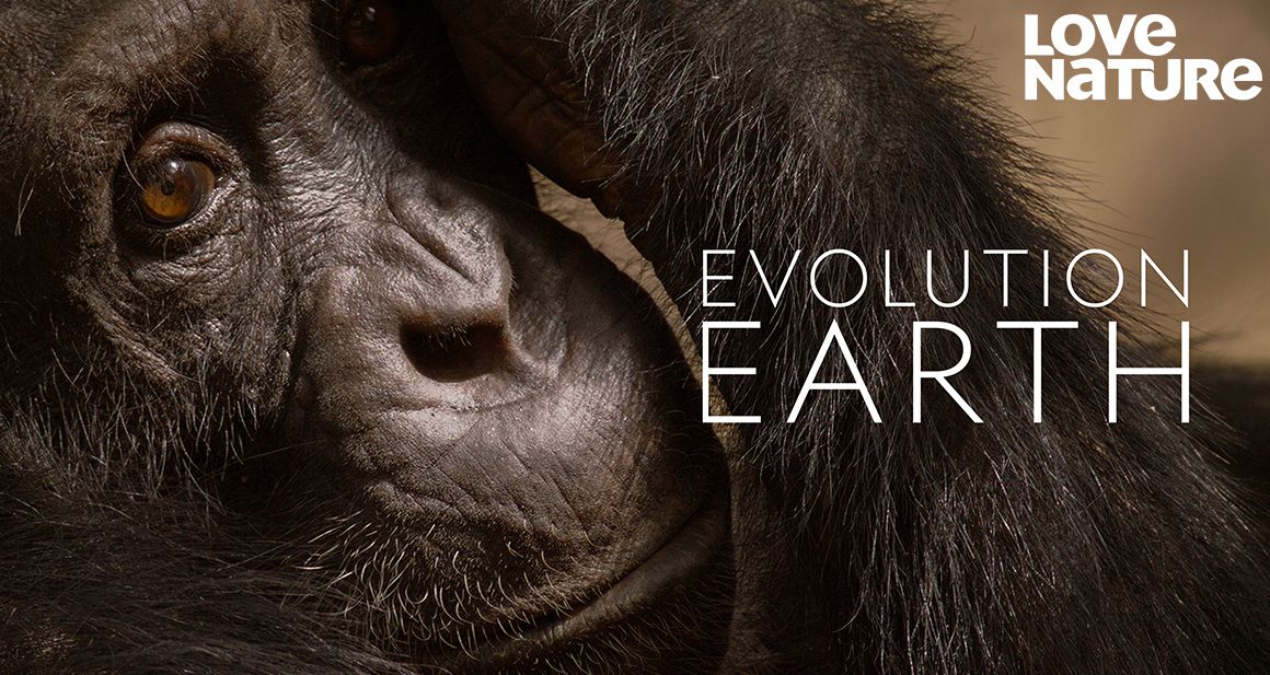 Bilde fra Evolution Earth på Love Nature.