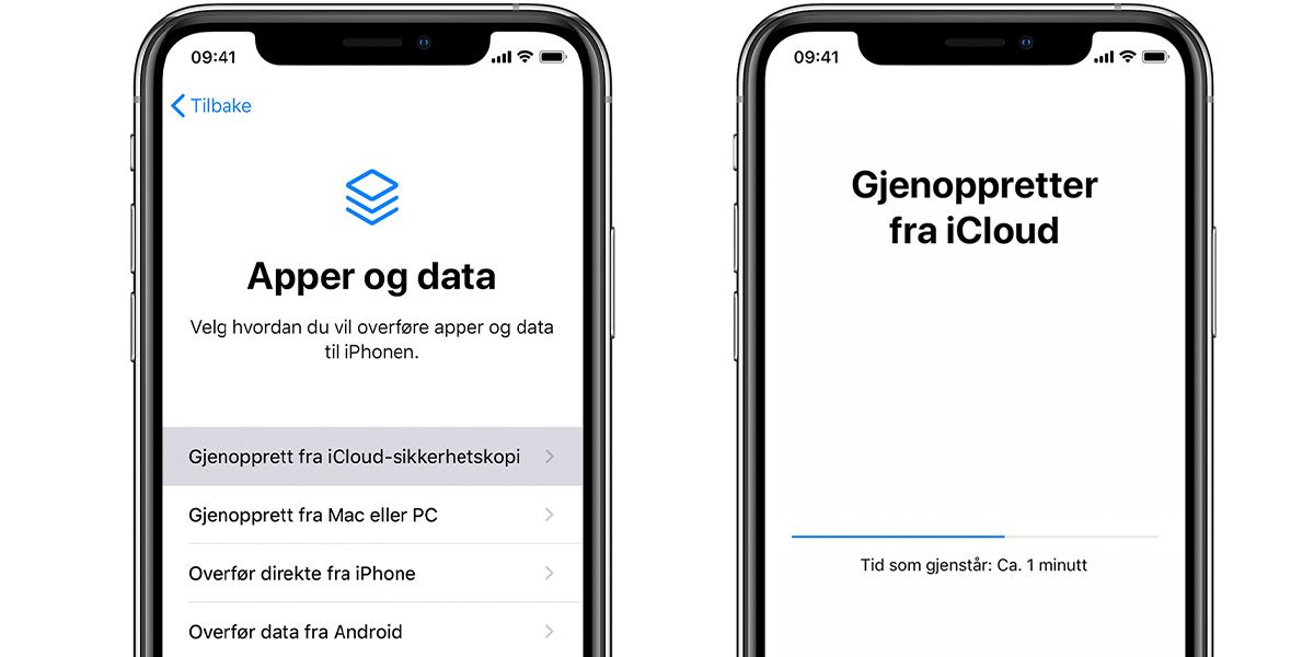 På en iPhone gjenoppretter du data fra en sikkerhetskopi i iCloud, på en datamaskin eller en Android-mobil.