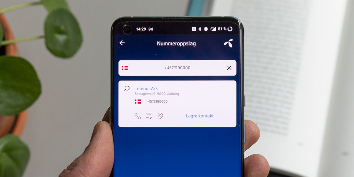 Skandinaviske nummer i Se Hvem