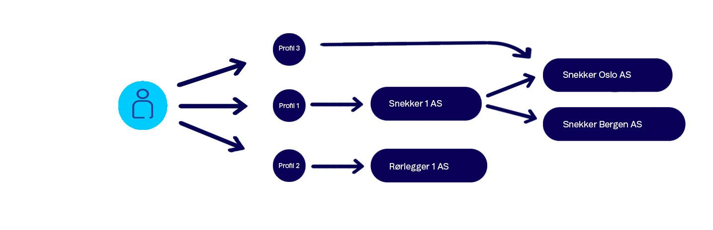 Diagram som viser tilknytning mellom profiler og selskaper