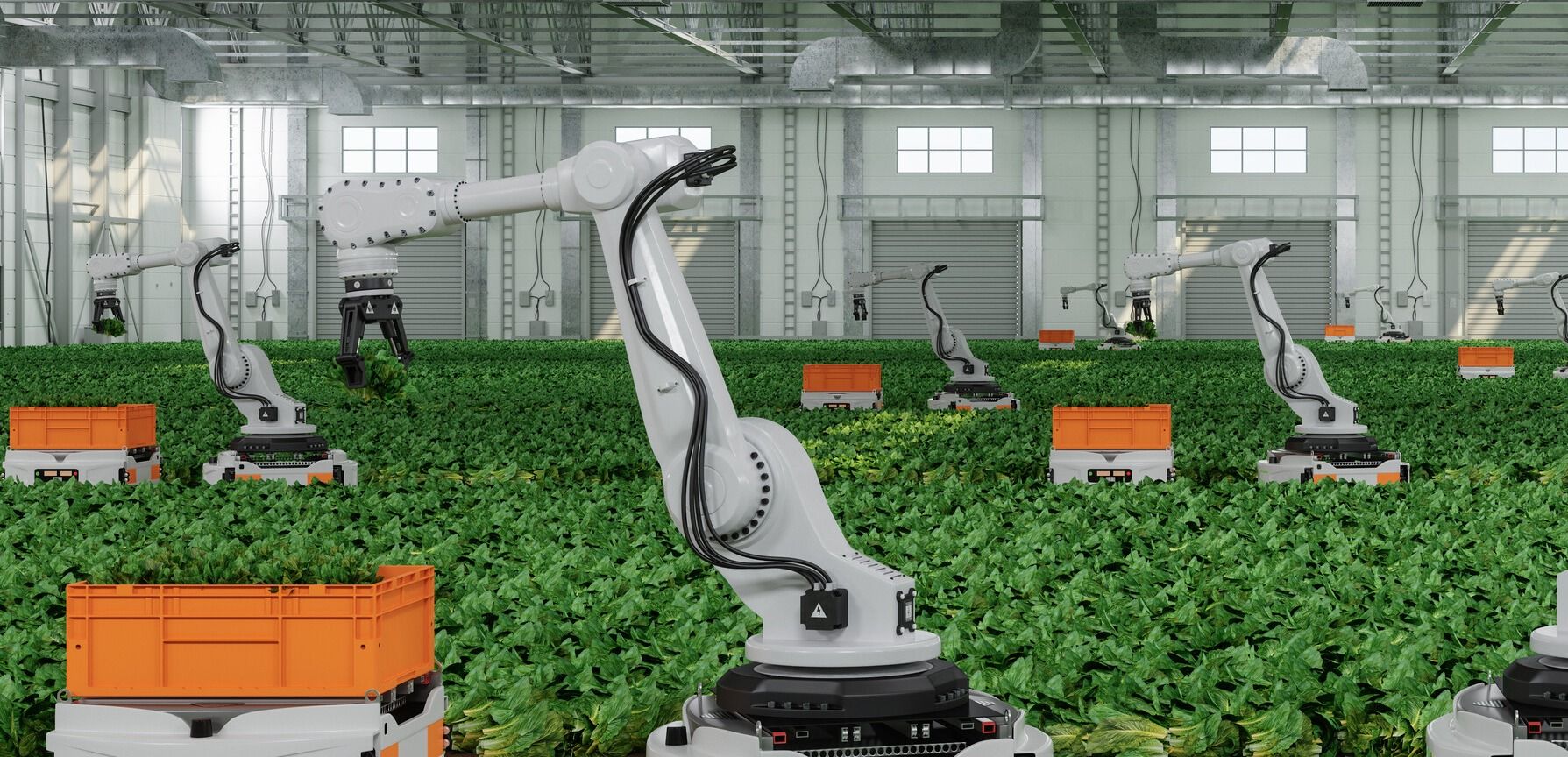 Industriell robotteknologi i drivhus for automatisert landbruk ved bruk av avansert 5G for bedrifter