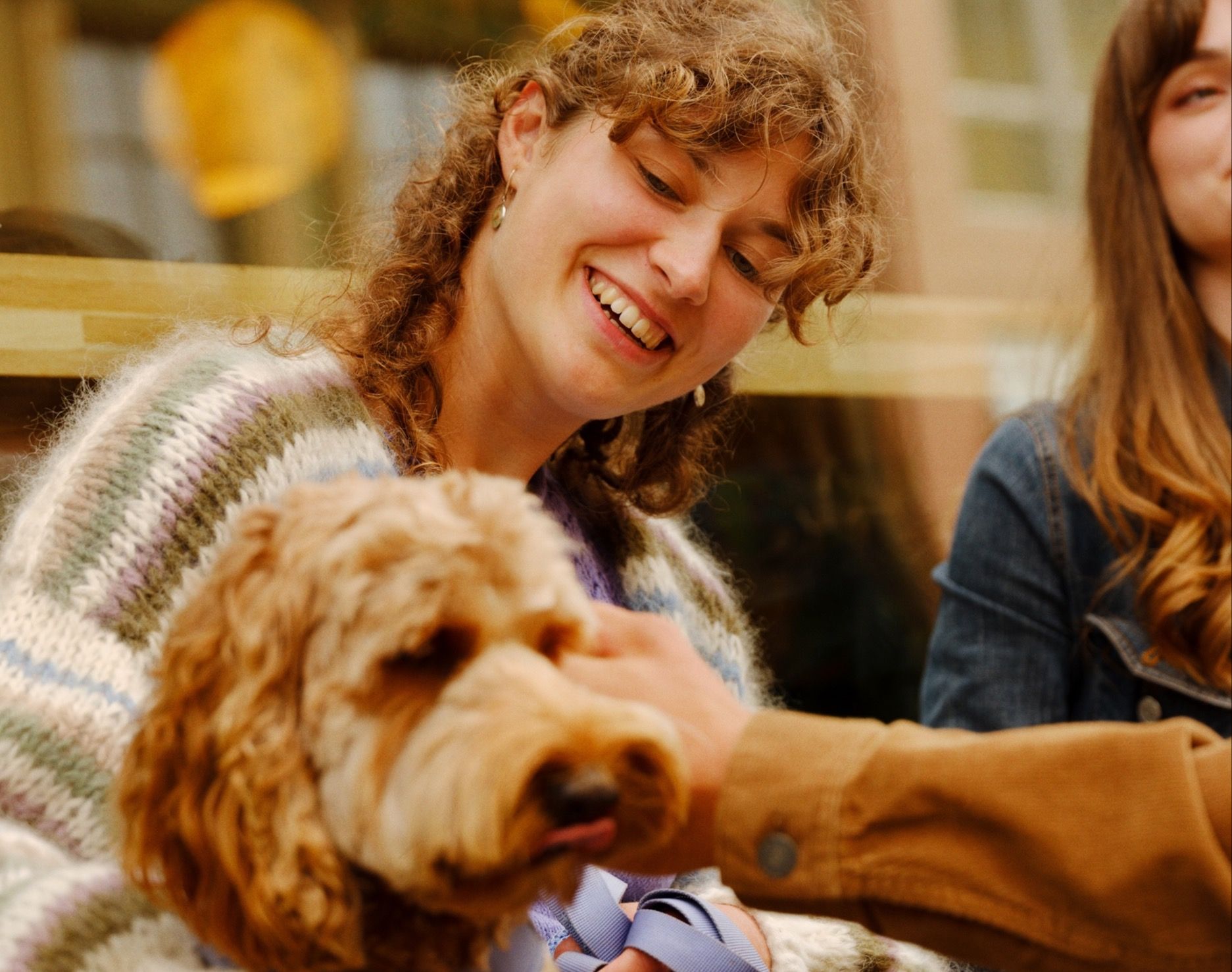 to venninner og en hund