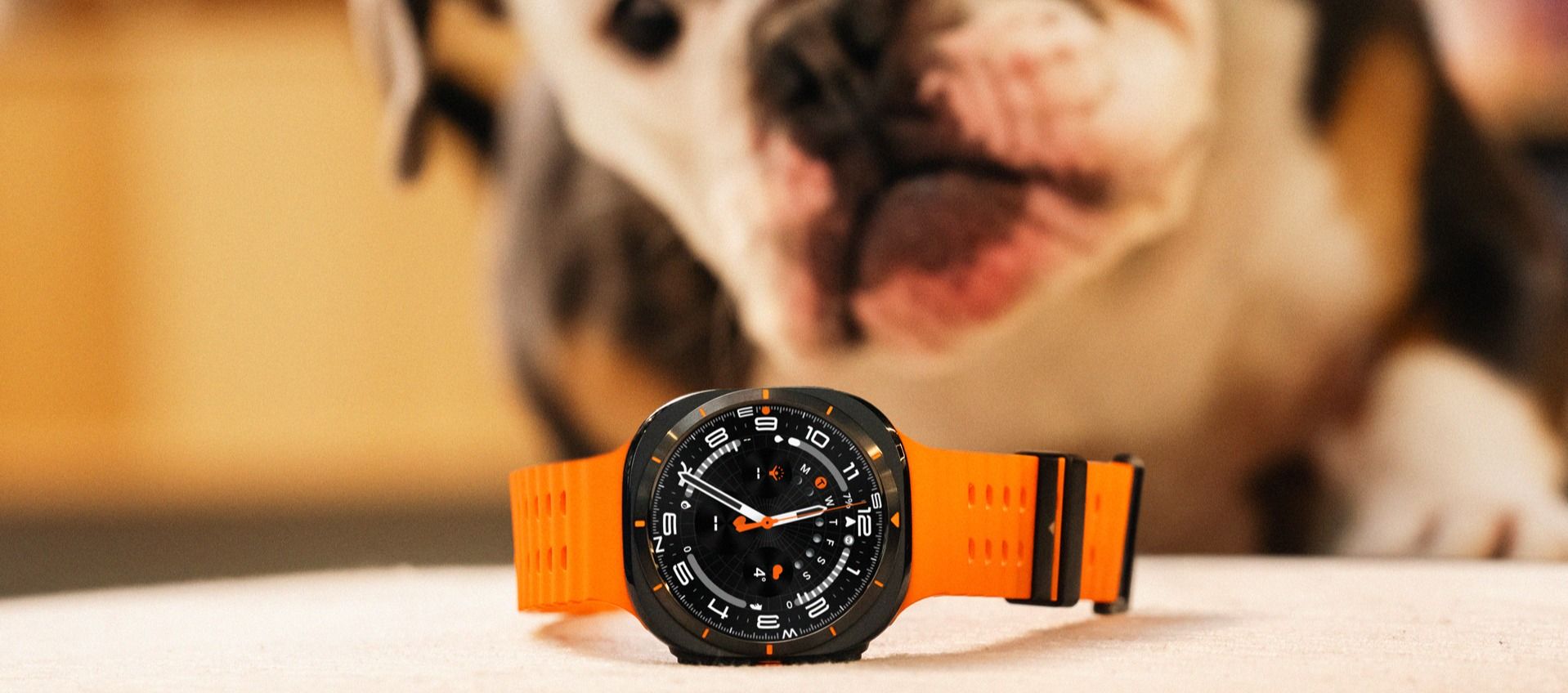 Hund som ser på en smartklokke