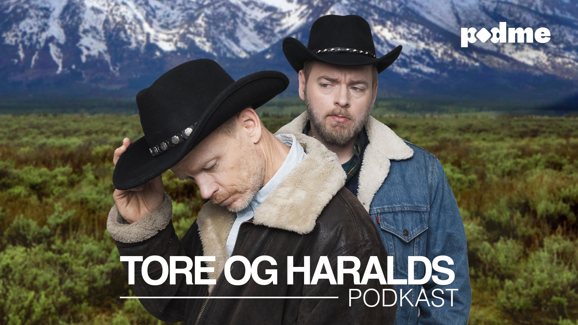 Bilde fra Tore og Haralds podkast på Podme.