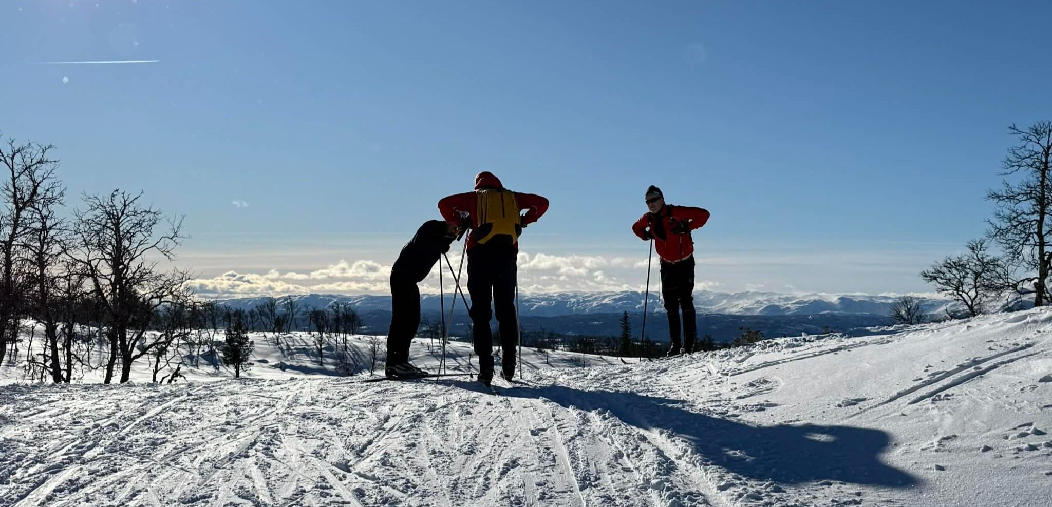 Tre personer på langrenn i solfylt vinterlandskap