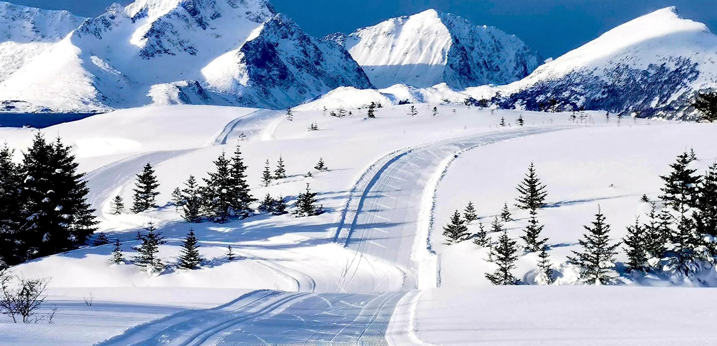 Fjellandskap i vinter