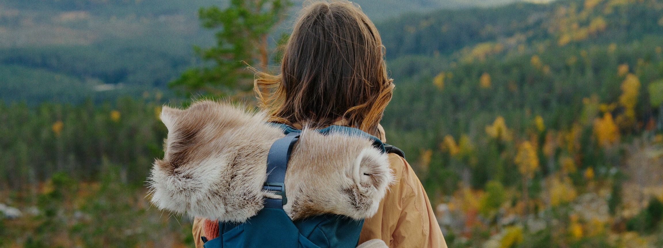 Bilde av person på fjellet med sekk på ryggen