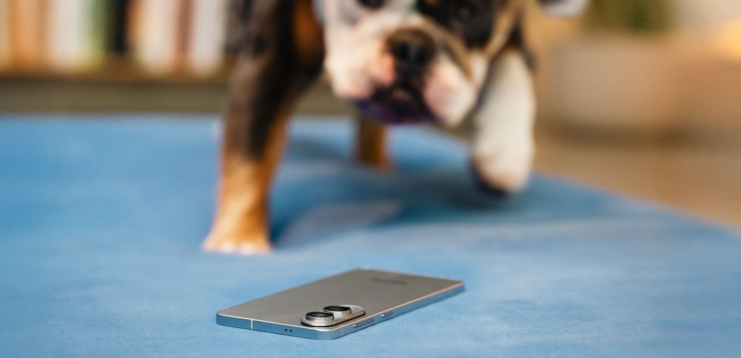 Meld skade eller tap av mobiltelefon, nettbrett eller smartklokke