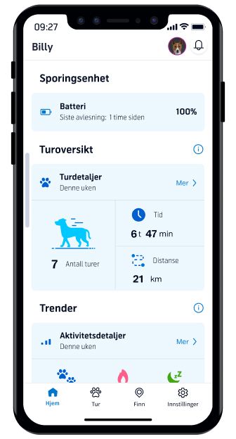 Hjem skjerm