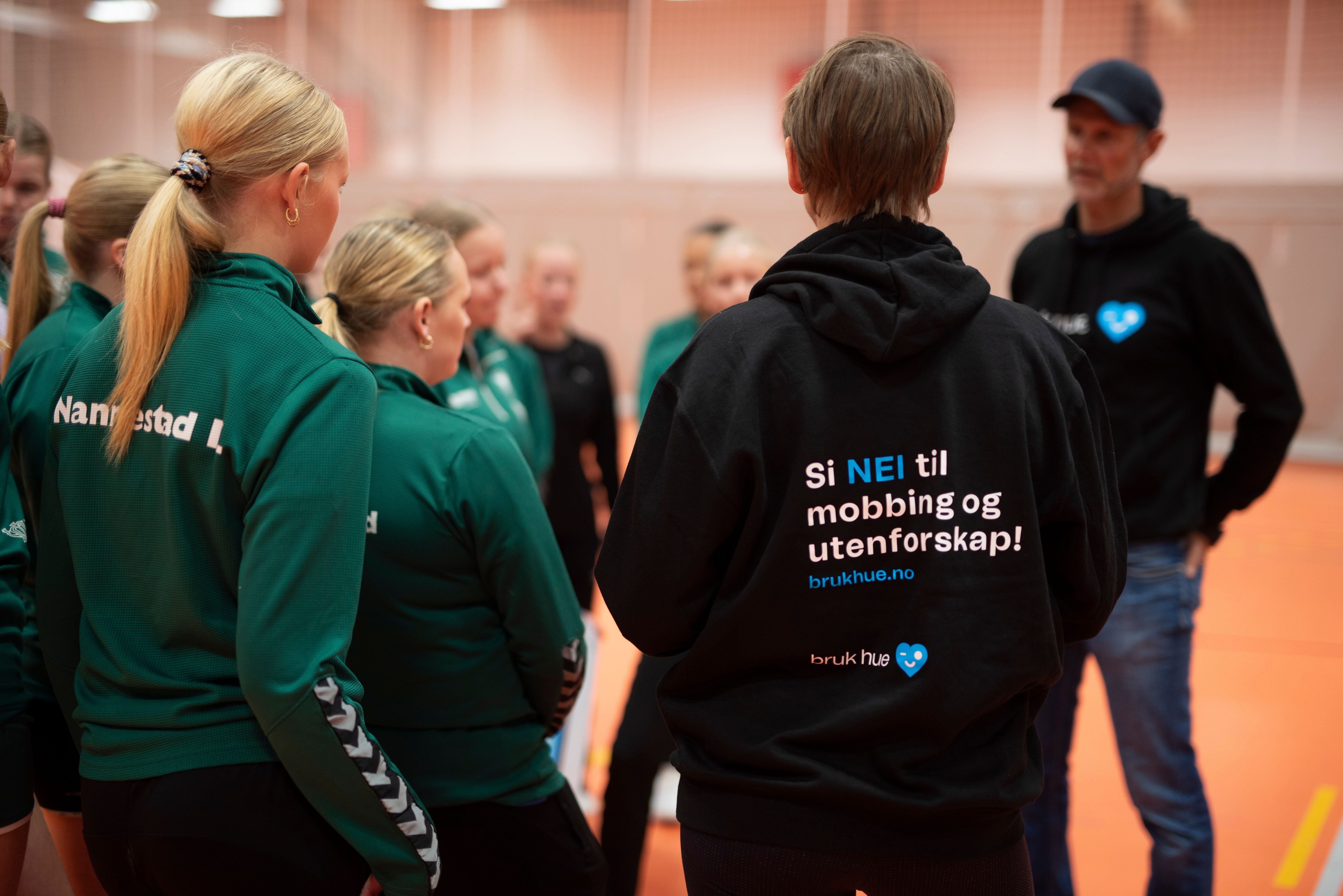 Her kommer det snart en forklarende og pedagogisk tekst som beskriver dette bildet.
