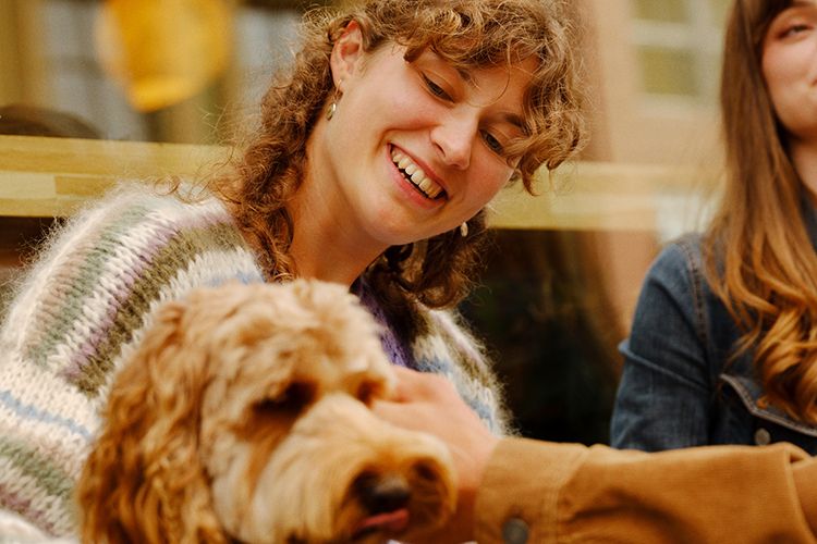 En hånd koser med en liten hund med krøllete pels