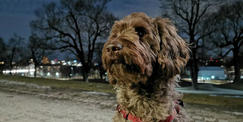 Huawei P30 Pro