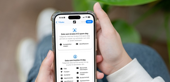 Person ser på persondata på mobil