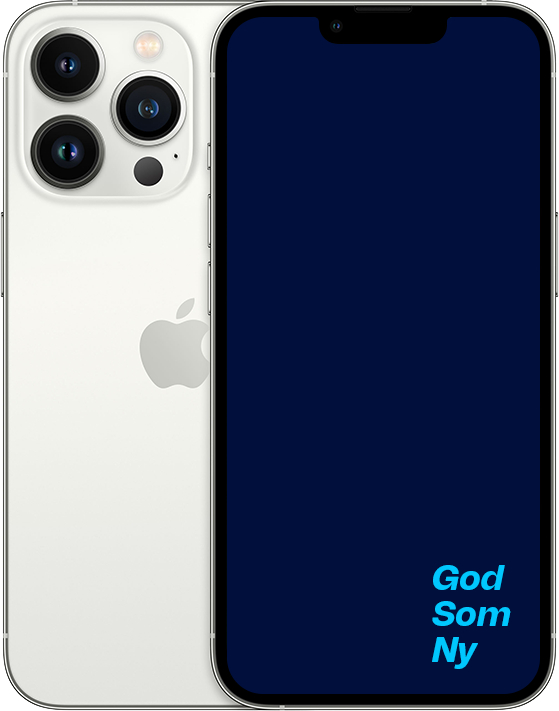 GSN iPhone 13 Pro sølv