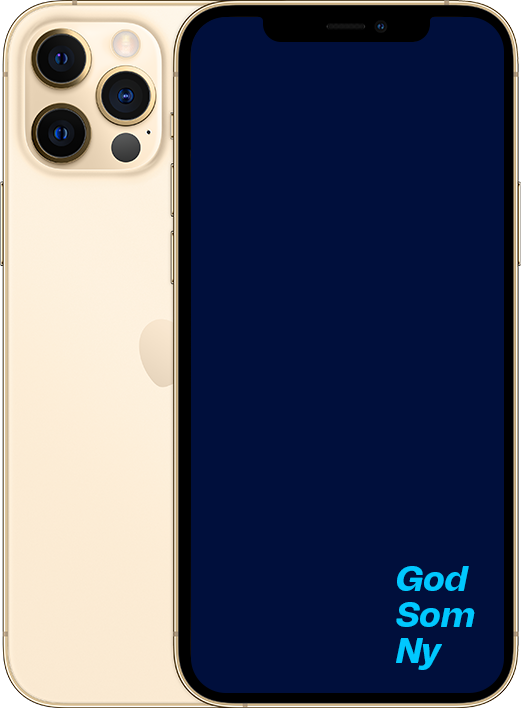 GSN iPhone 12 Pro gull